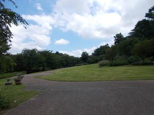 夏祭りが始まりました。