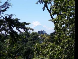 大暑（7月22日）