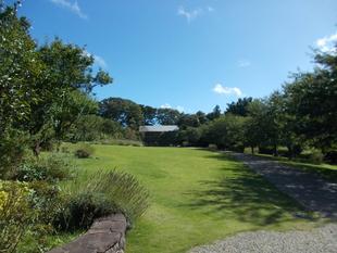 学生サポーター による「俣野新聞」　