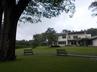 雨の日の庭園