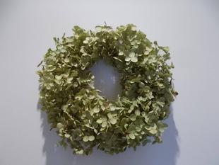 アナベルのリース作り