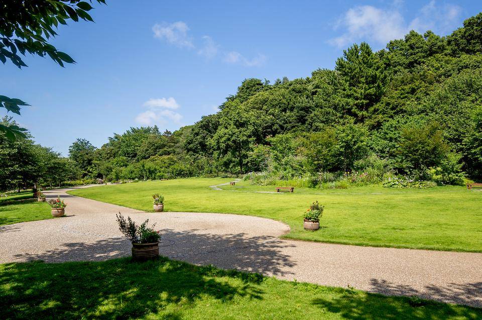 俣野別邸庭園トップ画像3