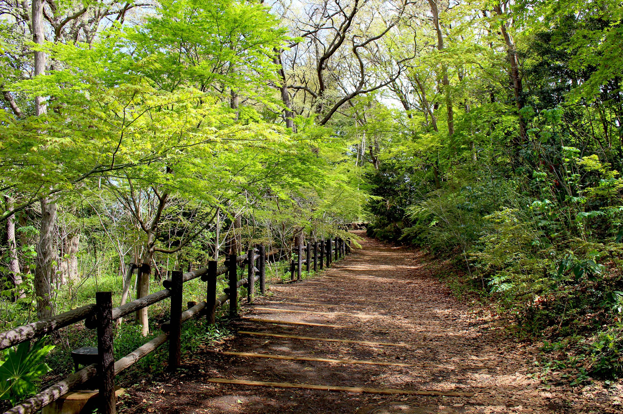 俣野別邸庭園トップ画像2