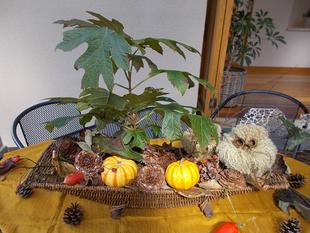 ススキのフクロウ