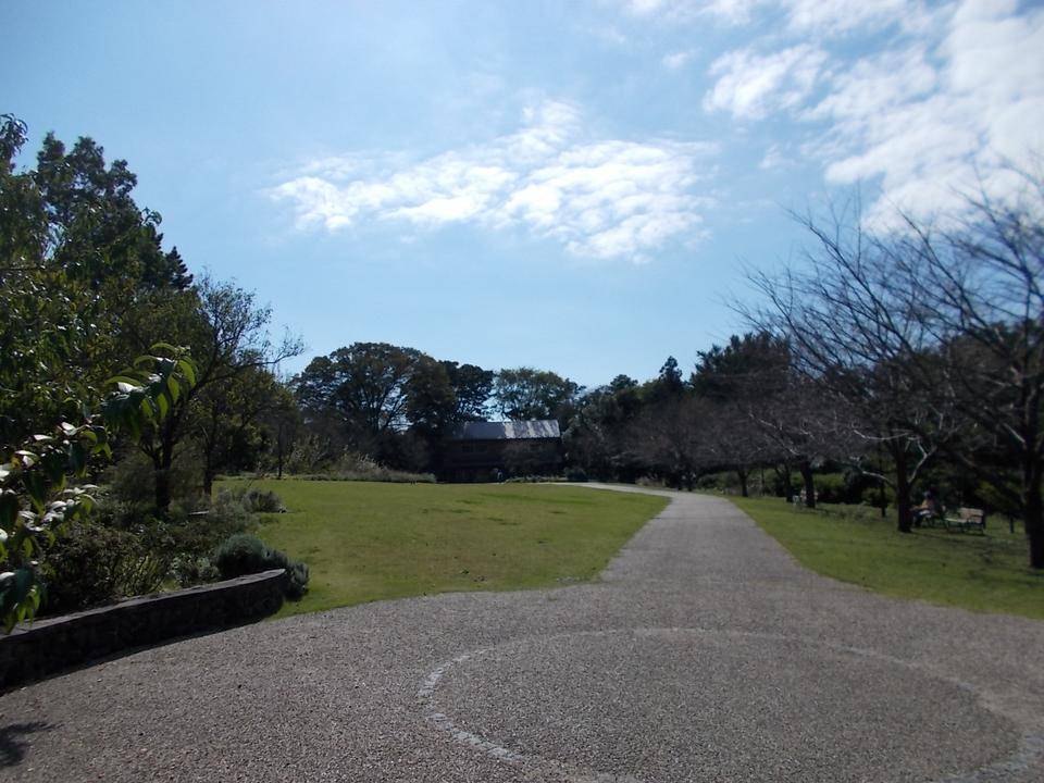 秋のグリーンキーパー活動日の写真