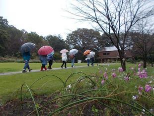 秋の庭園散歩（10月17日）