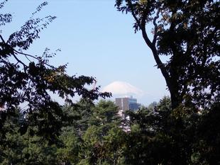 秋麗（あきうらら）