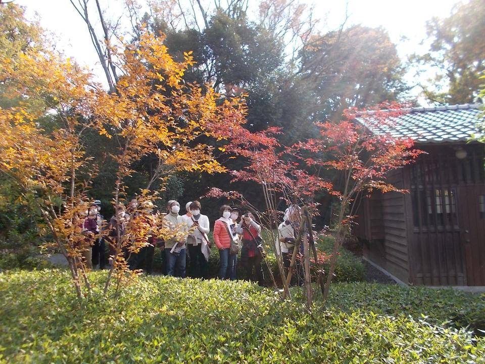 庭園散歩 もみじ祭りスペシャル (11月21日)の写真