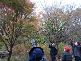 写真教室 ~俣野別邸庭園の紅葉~