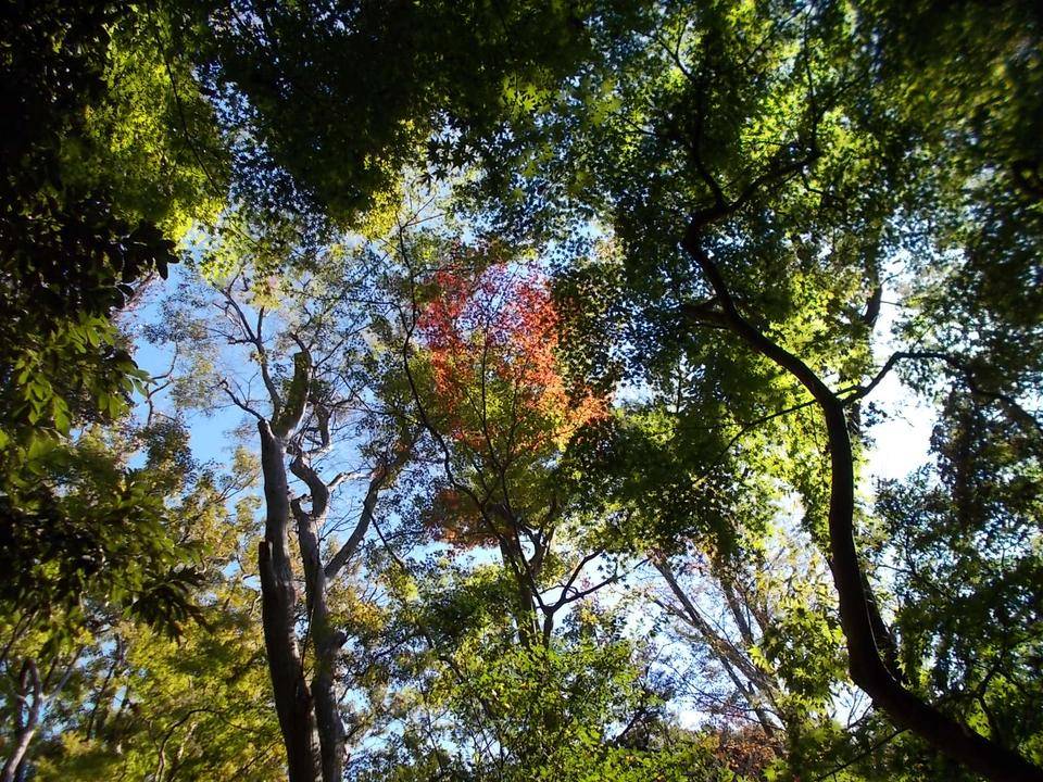 秋深しの写真