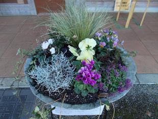 冬の寄せ植え