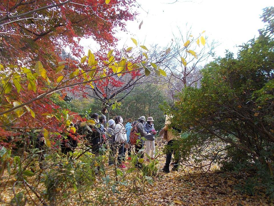 庭園散歩・果樹剪定講座(12月12日)の写真