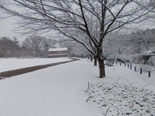 雪景色の庭園