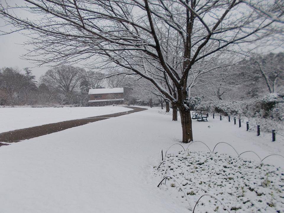 雪景色の庭園の写真