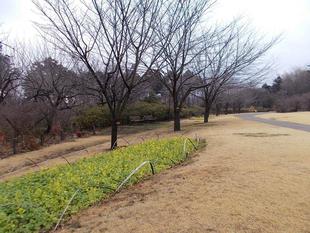 庭園散歩（2月20日）