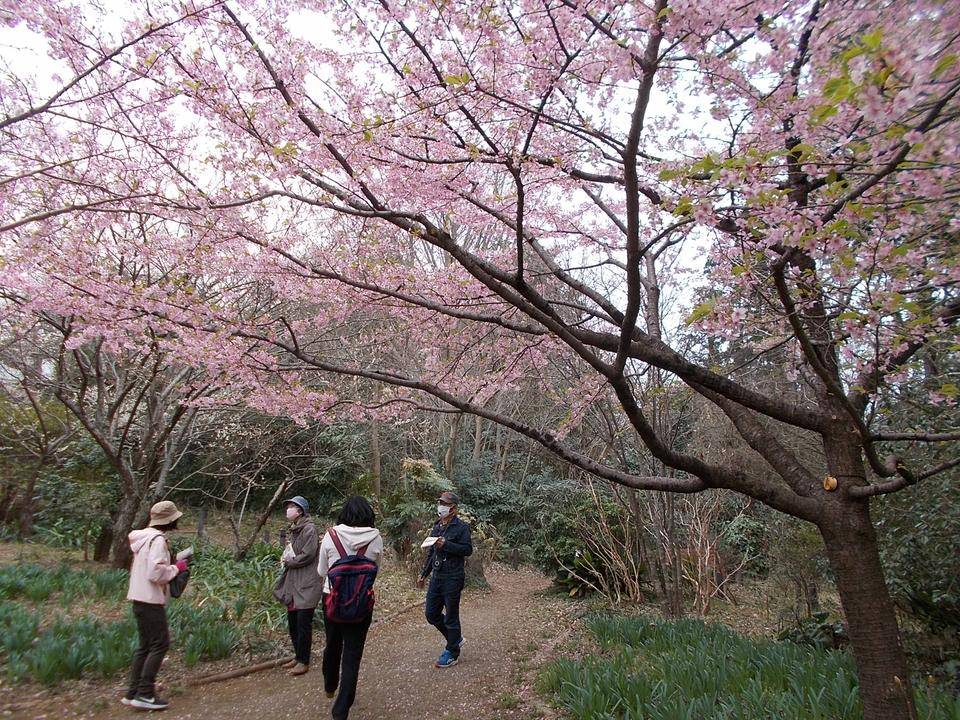 庭園散歩(3月13日)の写真