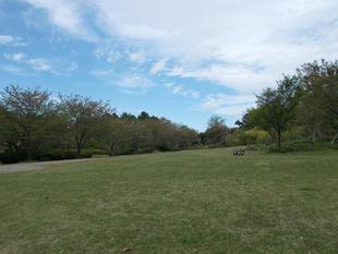 若葉萌ゆる季節