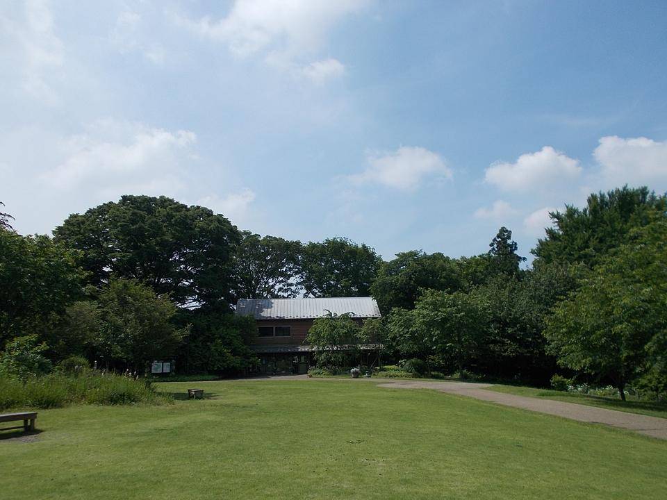 庭園散歩の写真