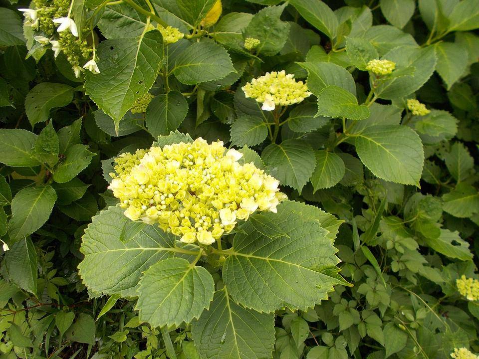 5月の終わりにの写真