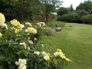 雨上りの土曜日