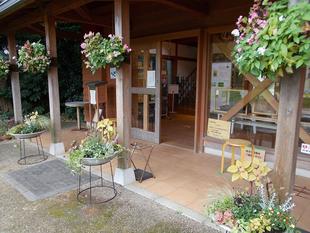 秋色の寄せ植え