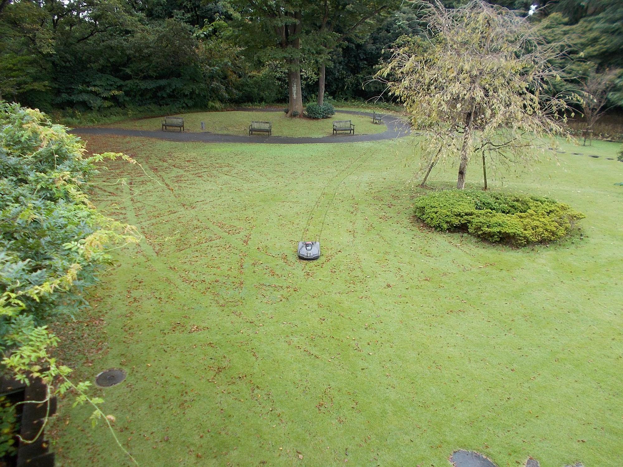 秋雨の写真