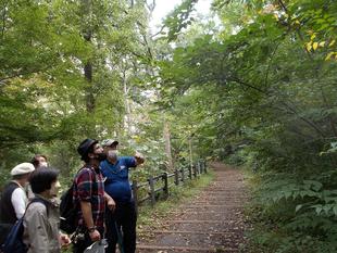 庭園散歩【2022年10月16日】