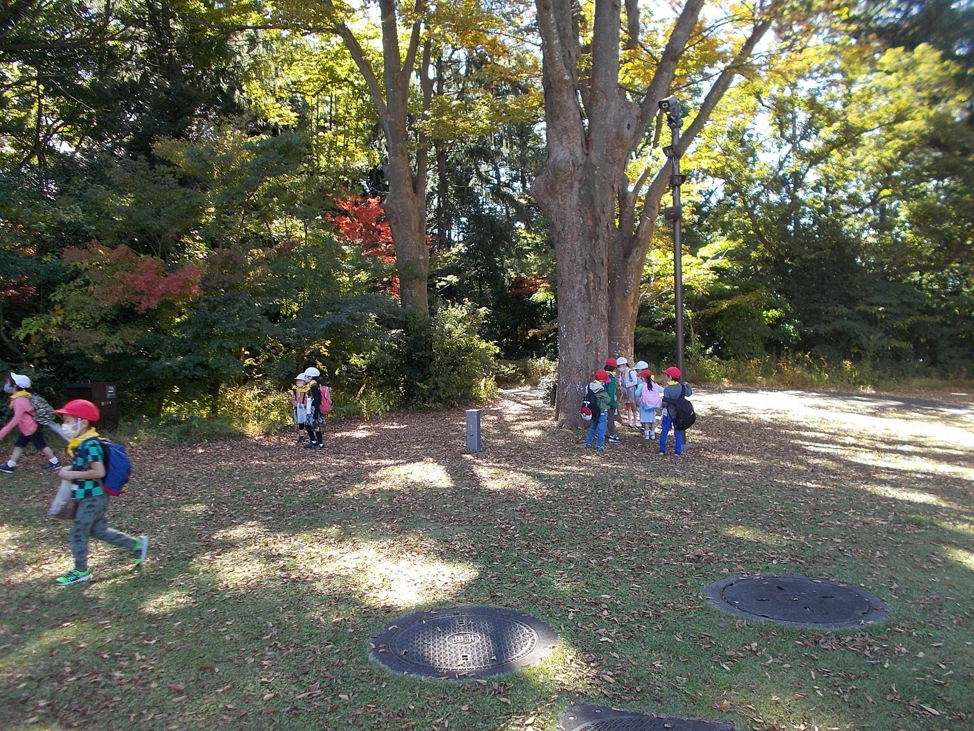 秋の日の遠足の写真