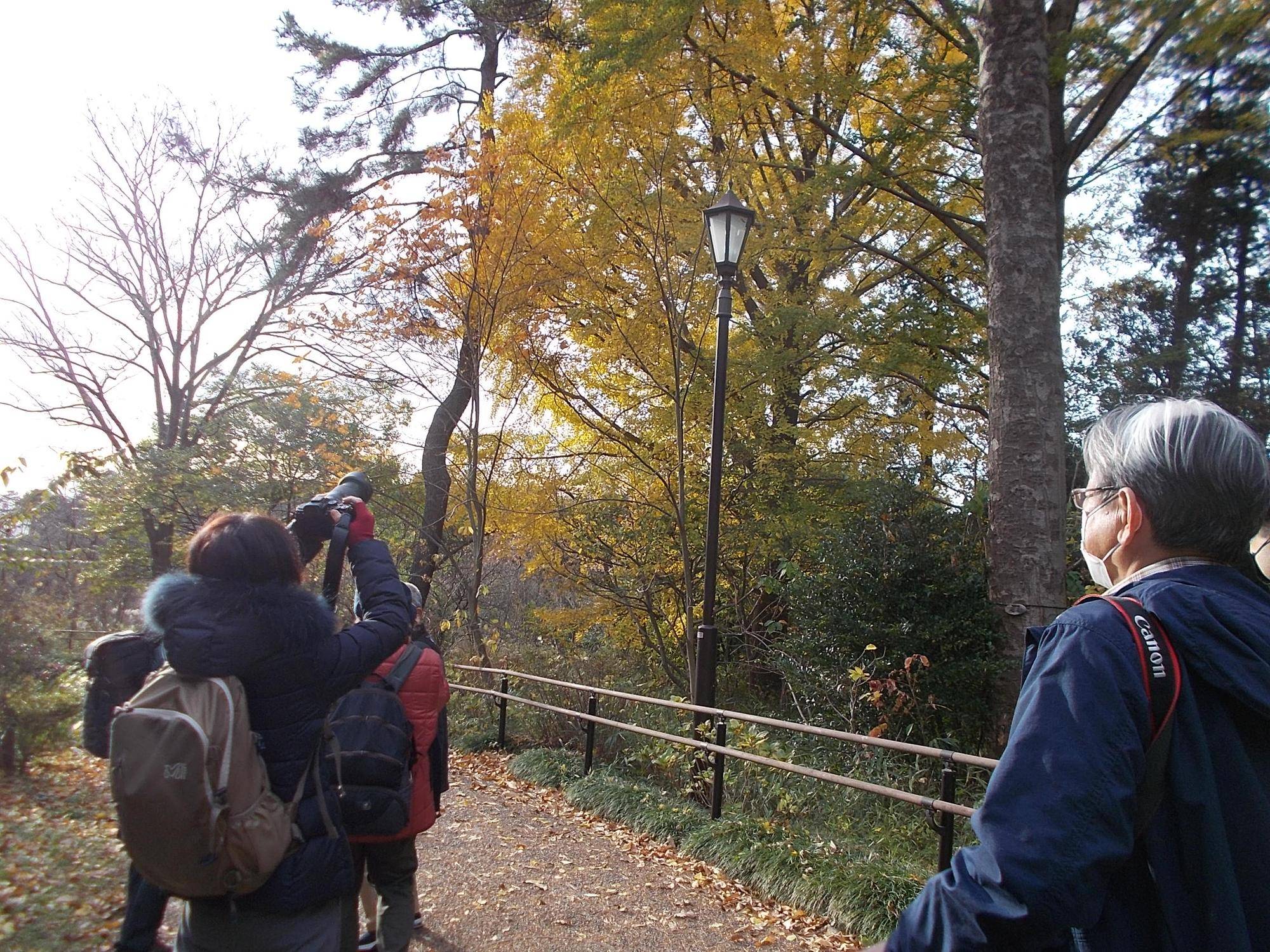 写真教室 ~俣野別邸庭園の紅葉~の写真