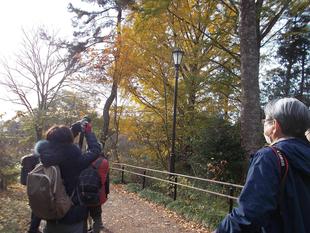 写真教室　～俣野別邸庭園の紅葉～