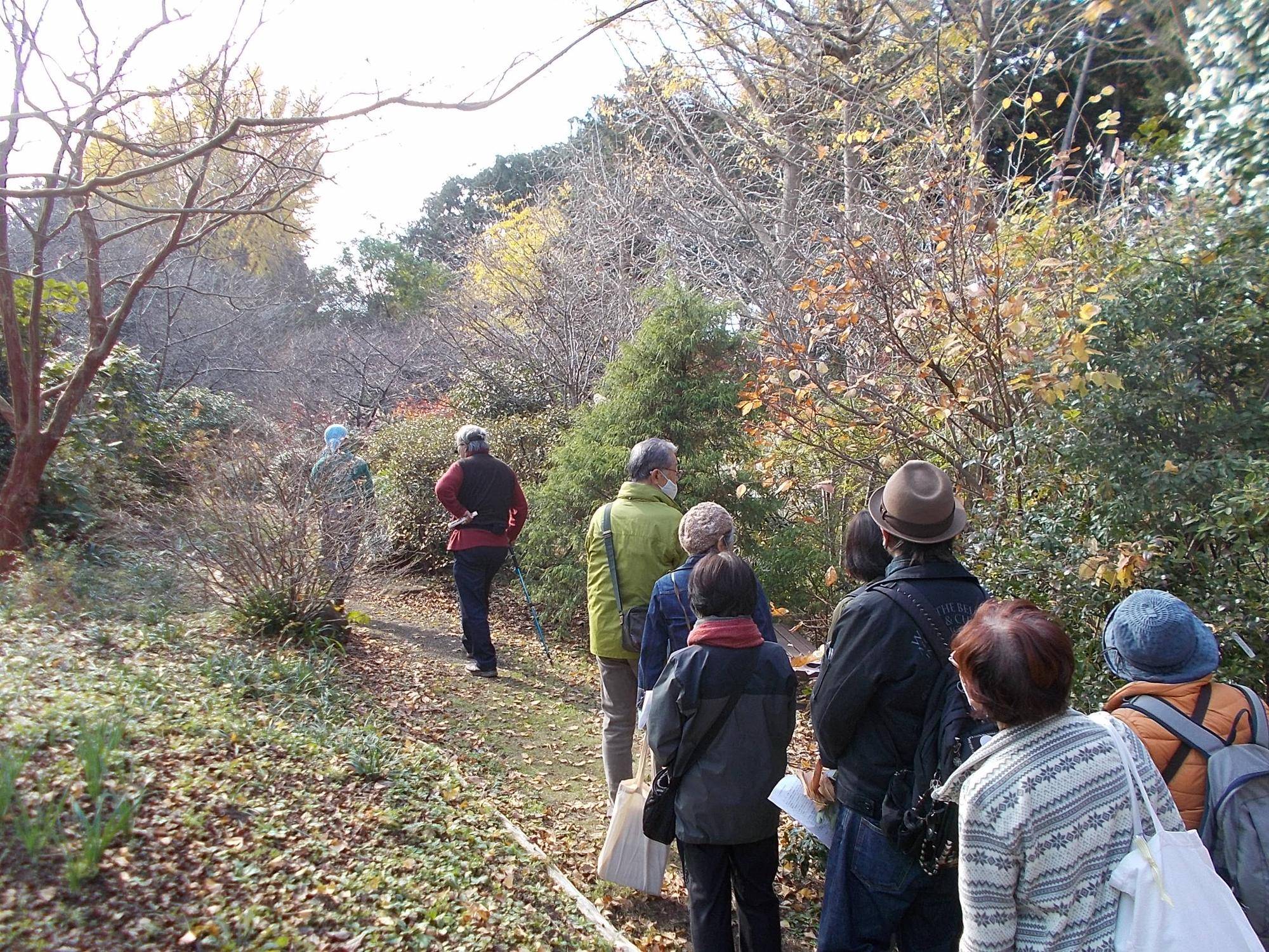 庭園散歩【2022年12月11日】の写真