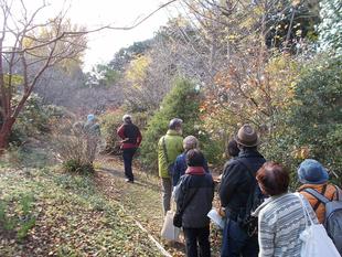 庭園散歩【2022年12月11日】
