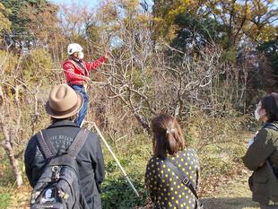 もみじ祭り　果樹剪定講座