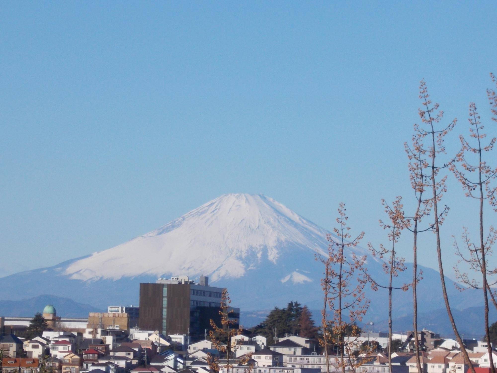 令和5年を迎えての写真