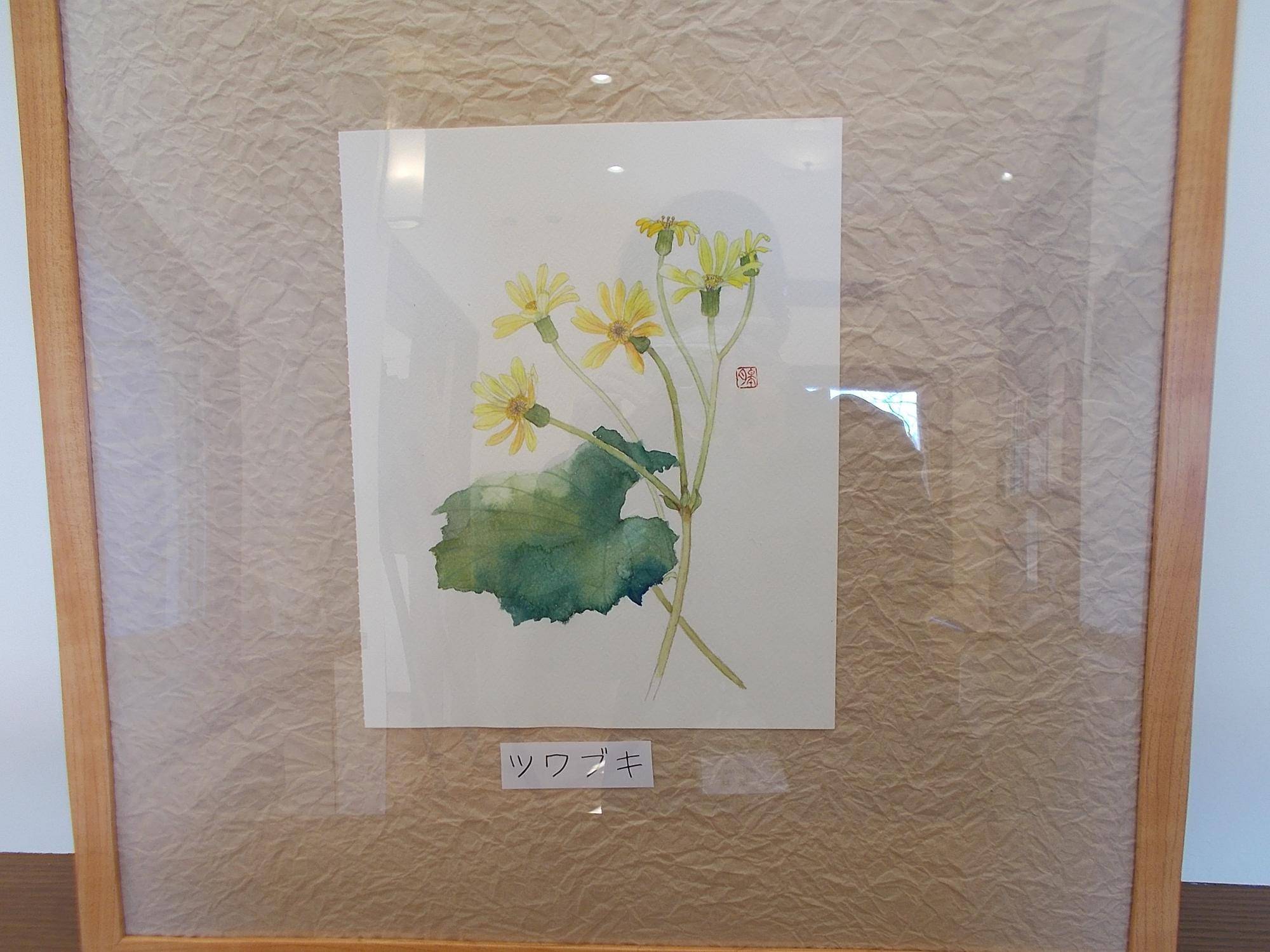 水彩画展「俣野別邸庭園の植物たち」の写真