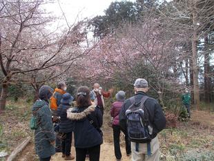 庭園散歩【2023年2月19日】