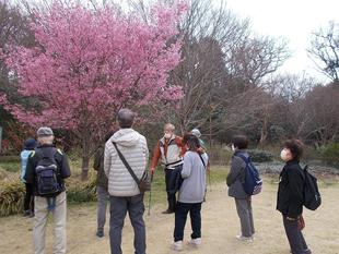 庭園散歩【2023年3月12日】