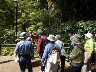 庭園散歩【2023年4月16日】