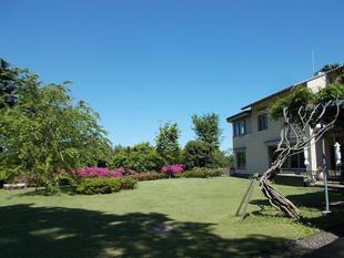 雨上がりの庭園