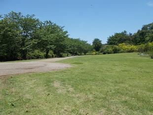 除草ボランティア