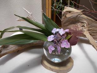 ５月の館内装飾