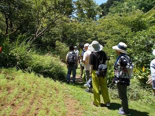 庭園散歩【2023年7月16日】