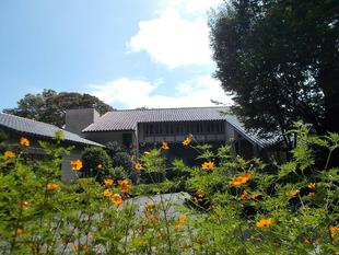 雨上がりの庭園
