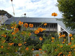 秋の日のリビングコンサート