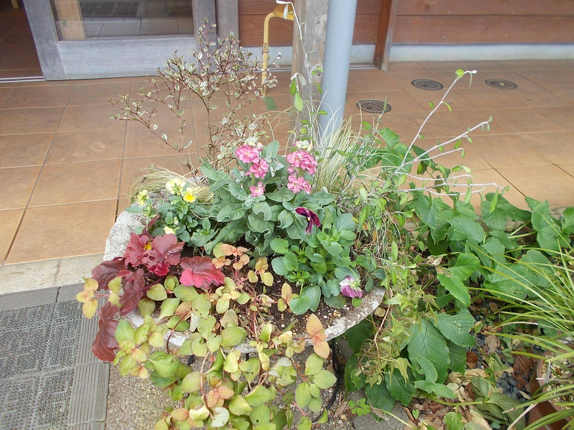 秋彩る花装飾の写真