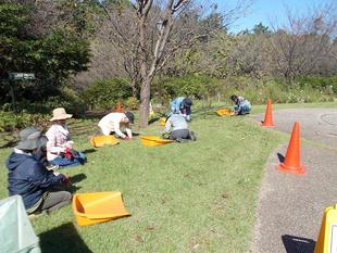 秋の除草ボランティア
