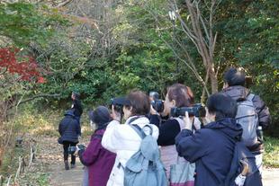 写真教室 ~俣野別邸庭園の紅葉~