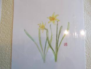 水彩画展「俣野別邸庭園の植物たち」