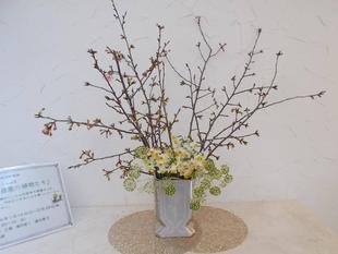 早春の館内装飾