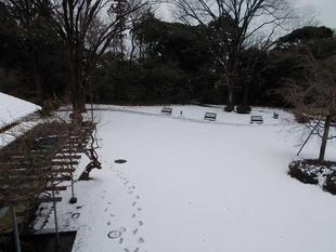 雪の庭園